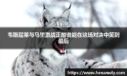 ac米兰体育
